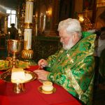 432130398 PS Episcop Anatolie a liturghisit la Catedrala „Naşterea Domnului” din Chişinău