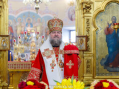 ÎPS Mitropolit Vladimir a adresat un mesaj de felicitare Episcopului Nicolae, la aniversarea a doi ani de la hirotonia în treapta de Episcop