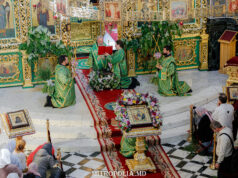 Mitropolitul Vladimir a săvârșit Sfânta Liturghie în Duminica Pogorârii Sfântului Duh, la Catedrala Mitropolitană din Chișinău