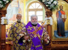 Mitropolitul Vladimir a adresat un mesaj de felicitare Arhiepiscopului Anatolie, cu ocazia aniversării zilei de naștere