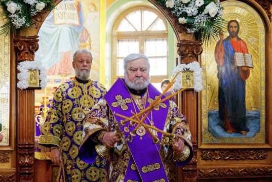 Mitropolitul Vladimir a adresat un mesaj de felicitare Arhiepiscopului Anatolie, cu ocazia aniversării zilei de naștere