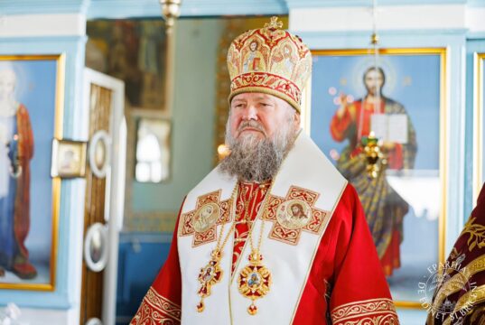 Mitropolitul Vladimir a adresat un mesaj de felicitare Episcopului Nicolae, cu prilejul serbării ocrotitorului ceresc