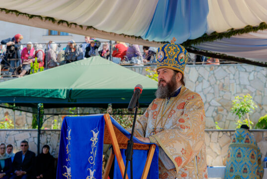 Mitropolitul Vladimir a adresat un mesaj de felicitare Arhiepiscopului Petru, în ziua cinstirii protectorului ceresc