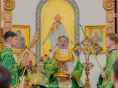 Mitropolitul Vladimir a adresat un mesaj de felicitare Arhiepiscopului Sava, la aniversarea zilei de naștere