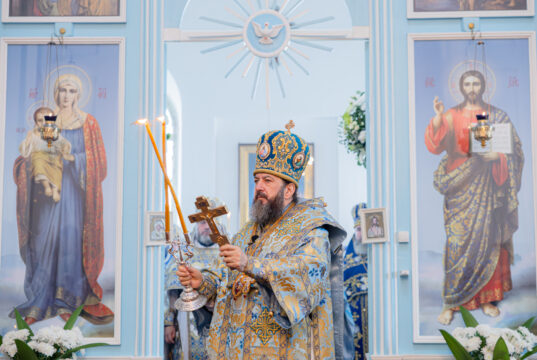 Mitropolitul Vladimir a adresat un mesaj de felicitare Arhiepiscopului Petru cu ocazia aniversării zilei de naștere